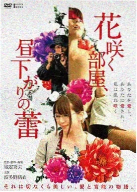 夏日恋歌 电影 2024